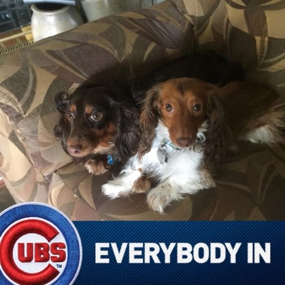 Meet your Posher, Larry